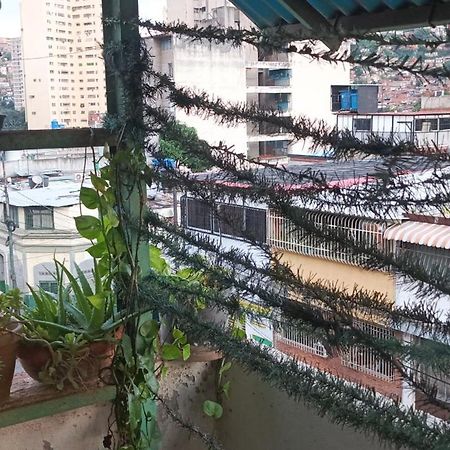 Hotel Don Gato Καράκας Εξωτερικό φωτογραφία